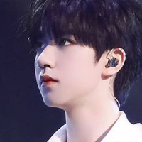 Hạ Tuấn Lâm