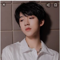 Hạ Tuấn Lâm