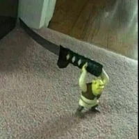 Con chóa đáng ghét đã rượt tui