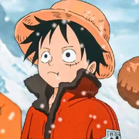 Monkey D.Luffy / Lucky