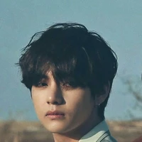 Kim Taehyung ( V )