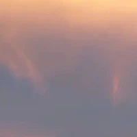 Y/N