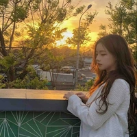 Park Y/n