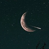 All( trừ na9-nu9)