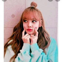 Lisa(bạn Y/n)