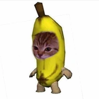 T/g