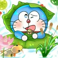Hệ thống cute