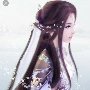 Thủy vi nhã