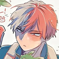 Todoroki Shoto