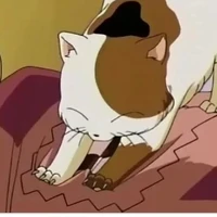 buyo