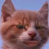 T/G lười biếng