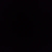 nvp