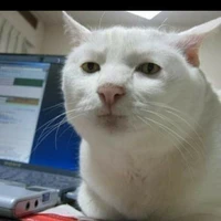 Đặng Hồ Phương Uyên