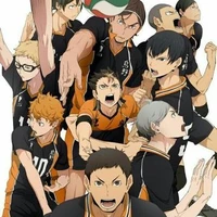 All Karasuno (Quạ)