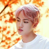 Kim SeokJin (Jin)