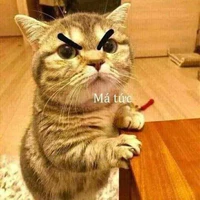 Tác giả
