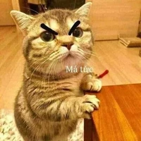 Tác giả