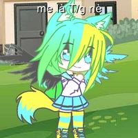 Misaki(T/G)