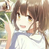 Y/n