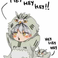 Bokuto Kotarou