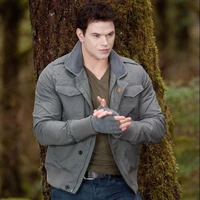 Emmett Cullen
