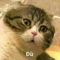 TG bị thiểu năng trí tuệ
