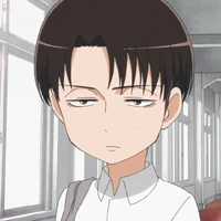 Levi