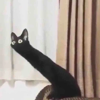 Coan tác giả ghiện kem 