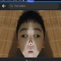 di hưng
