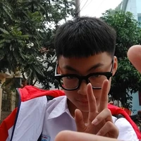 di bảo