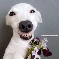 con t/g khốn nạn