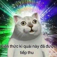 cô giáo