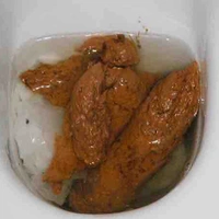 Cục cứt riel - chính hãng