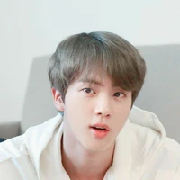 Jin(mẹ Y/n)