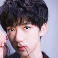 Hạ Tuấn Lâm_tam vương phi_