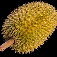 🌱Bạc Hà🌱