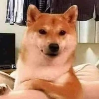 Tác giả nhạt nhẽo