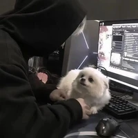 Vương Song Tử|@Gem_bất_tử