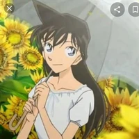 Mori Ran