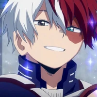 todoroki shoto