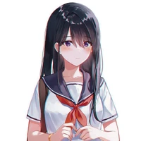 Y/N