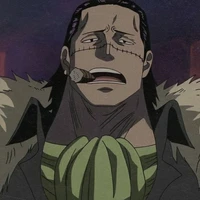 Crocodile