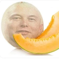 hão dưa