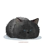Mèo con