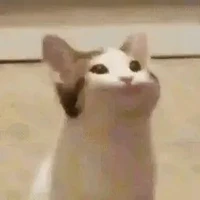 Vẫn là t/g chu choe
