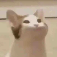 ad