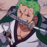 -Zoro-