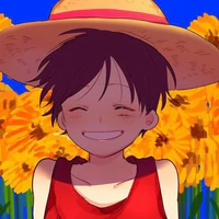 -Luffy-