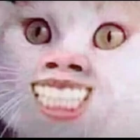 quần chúng hách dịch