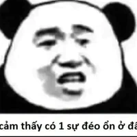 lươn thị tg